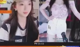 主播爆料新载具视频大全,全新载具视频大盘点，科技盛宴即将开启！